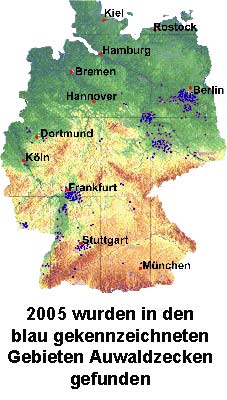 Hier gab es 2005 Auwaldzecken